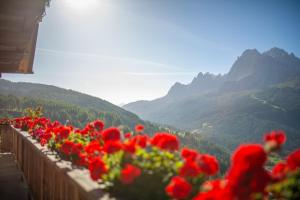 een rij rode bloemen op een hek met bergen bij Pfeifhof in Sesto