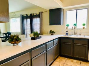 una cocina con fregadero y algunas plantas en la encimera en Watercreek-Four-bedroom house in Las Vegas, en Las Vegas