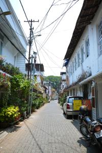 コーチにあるMOTHER TREE INNの路地駐車路地