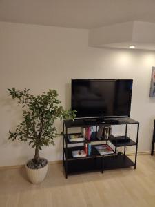 Gästewohnung Mühlstein TV 또는 엔터테인먼트 센터