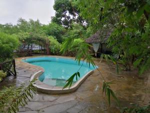 Bazen u ili blizu objekta Tropical Garden House