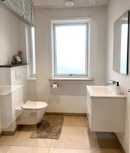 The Heart of Billund apartment tesisinde bir banyo