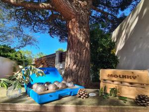 una caja azul llena de bolas junto a un árbol en Villa Babeth by Nuits au Port, en La Rochelle