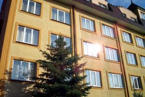 a building with a christmas tree in front of it at Prykarpattya in Ivano-Frankivsʼk