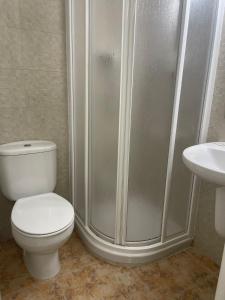 La salle de bains est pourvue de toilettes, d'une douche et d'un lavabo. dans l'établissement Hotel Blason Junior, à Peñíscola