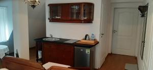 a kitchen with a sink and a counter top at Dworek pod świerkami in Jelenia Góra