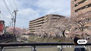 Galerija fotografija objekta 桜川別莊 u gradu 'Kamakura'