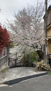 Galerija fotografija objekta 桜川別莊 u gradu 'Kamakura'