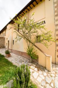 un edificio con un árbol delante de él en Agriturismo Bio San Mamiliano, en Grosseto