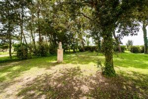 una tumba en un campo junto a un árbol en Agriturismo Bio San Mamiliano, en Grosseto