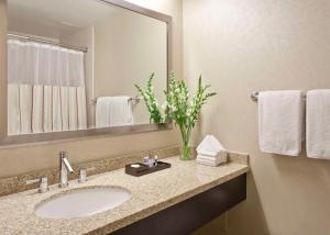 La salle de bains est pourvue d'un lavabo, d'un miroir et de serviettes. dans l'établissement Hyatt Regency O'Hare Chicago, à Rosemont