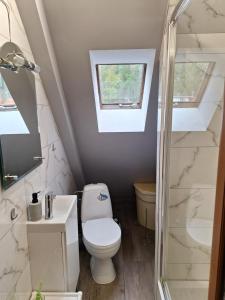 Ένα μπάνιο στο Apartament POD CHEŁMCEM