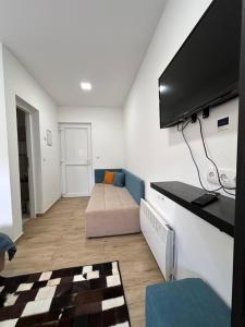 sala de estar con sofá y TV de pantalla plana en Ravne Energy Apartments, en Visoko