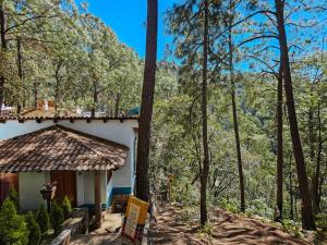 Um jardim em BACANA CABAÑAS DE ALQUILER