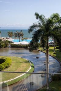 a view of a river with a palm tree at Beautiful Aria Ocean 401 QueridaEstancia in Nuevo Vallarta 