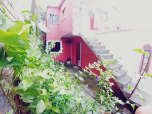 un bâtiment rouge avec des escaliers et des plantes vertes dans l'établissement Casa do Aventureiro, à Abraão