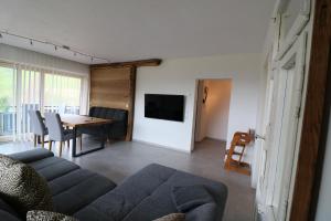 Sjónvarps- og/eða afþreyingartæki á Spechtsboden C4- hochwertige Ferienwohnung mit 2 Schlafzimmer in Todtnauberg- Ski In and ski out, Feldberg