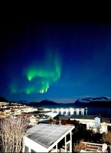 an image of the northern lights in the sky at Aurora dream in Skjervøy