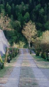 un camino de tierra con árboles en la distancia en Landhaus Borjomi, en Borjomi