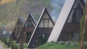 una casa de madera con una montaña en el fondo en Landhaus Borjomi, en Borjomi