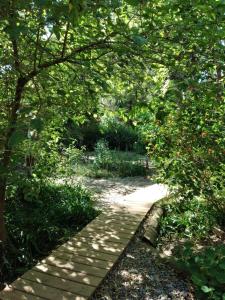 einen Gehweg in einem Garten mit Bäumen und Gras in der Unterkunft Eco habitación en Tierra Fértil Eco Posada in Santa Ana