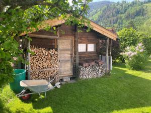 ツェル・アム・ゼーにあるChalet Panoramablick Zell am Seeの木山小屋