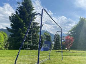 ツェル・アム・ゼーにあるChalet Panoramablick Zell am Seeの野球網