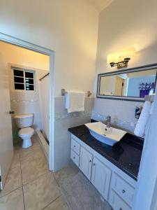 ein Badezimmer mit einem Waschbecken, einem WC und einem Spiegel in der Unterkunft Ocean Sight Villa in Montego Bay