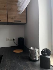 Η κουζίνα ή μικρή κουζίνα στο Włostowicka Ostoja Apartament