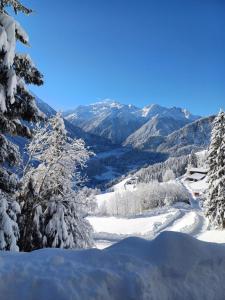 uma vista para uma montanha coberta de neve com árvores em Apartment Kerer em Wald im Pinzgau