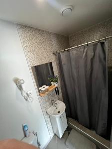 La salle de bains est pourvue d'un rideau de douche et d'un lavabo. dans l'établissement Šiauliu apartamentai, à Šiauliai