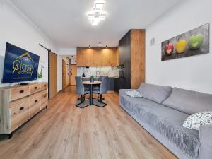 CLASSY APARTMENTS - Novum AQUAPARK tesisinde bir televizyon ve/veya eğlence merkezi