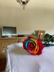 rosa colorata seduta sopra un letto di Hotel Aplis a Ovaro