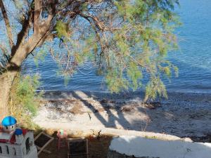 vista su una spiaggia con un albero e sull'oceano di Maeiz Skopelos a Skopelos Town