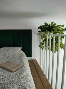 a bedroom with a bed with a plant on it at Apartament Paradise Zarządzany przez gospodarza osobę fizyczną Self check in in Rzeszów