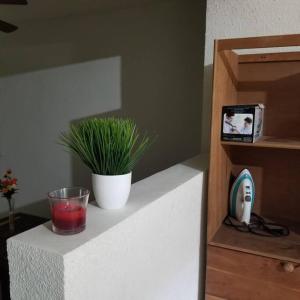 een plant in een glas zittend op een aanrecht met een klok bij Departamento Comodo centrico Tv Ac wifi cocina parking, letra C in Ciudad Valles