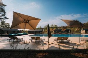 - un groupe de chaises longues et de parasols à côté de la piscine dans l'établissement Folga Resort, à Mrzeżyno