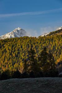 Pogled na planine ili pogled na planine iz hotela