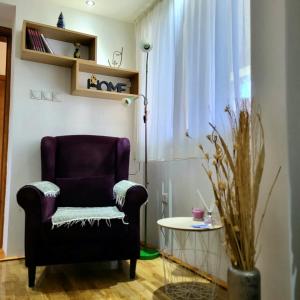 - un salon avec une chaise et une table dans l'établissement Apartments center Zorić, à Žabljak