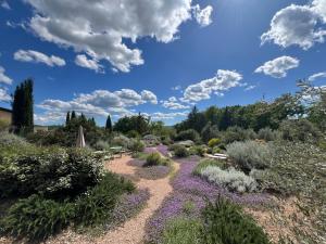 un jardín con flores púrpuras y un cielo azul en Casale Terre Rosse, en Saturnia