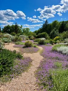 un jardín con flores púrpuras en el medio en Casale Terre Rosse, en Saturnia