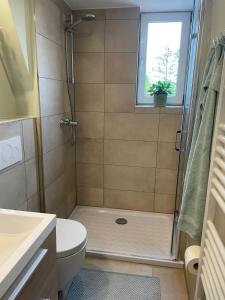 baño con ducha, aseo y ventana en City Wohnung mit Gartenblick und Dachterrasse, en Verden