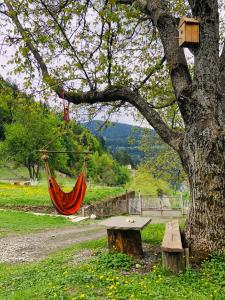 a hammock hanging from a tree next to a bench at River side SVANETI in Mestia