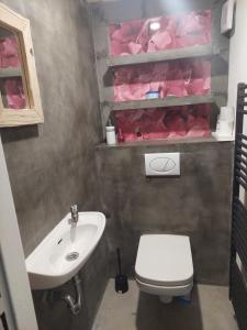 La salle de bains est pourvue d'un lavabo, de toilettes et de serviettes roses. dans l'établissement Slunce v duši, à Dolní Dunajovice