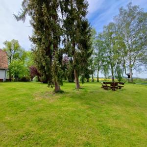 A garden outside Landhotel Zur Altenburg