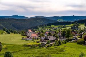 un village dans les collines avec des montagnes en arrière-plan dans l'établissement Boutiquehotel Ochsen, à Lenzkirch