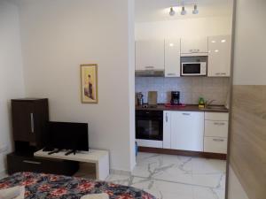 Kuhinja oz. manjša kuhinja v nastanitvi Apartment Leporiz