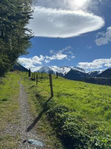 un chemin dans un champ avec des montagnes en arrière-plan dans l'établissement Apartment Waldherz, à Wald im Pinzgau