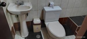 a small bathroom with a toilet and a sink at ANDENES DEL TITICACA in Puno