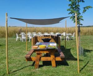 un tavolo da picnic con piatti di cibo sopra in un campo di Chalets des prés-village 